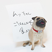 宇宙兄弟 APO メモ挟み 1名様