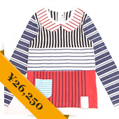 HORIZONTAL BLANKING PERIOD.  ladys M