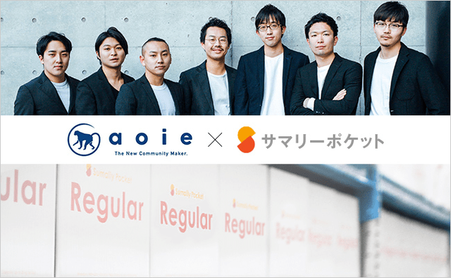 サマリーポケット_アオイエ