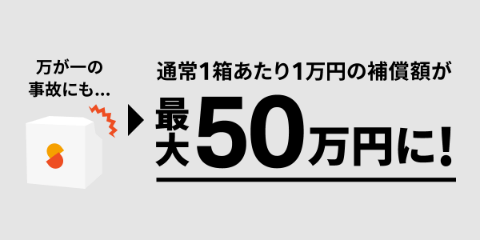 サマリーポケット_新オプション_サブ2