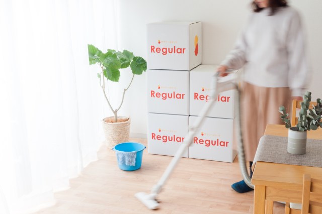 部屋-掃除_20180425_Nikon-D90_08465